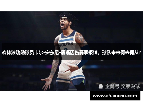 森林狼功勋球员卡尔-安东尼-唐斯因伤赛季报销，球队未来何去何从？