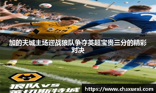 加的夫城主场迎战狼队争夺英超宝贵三分的精彩对决