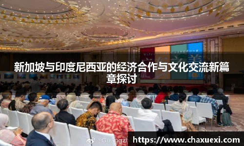 新加坡与印度尼西亚的经济合作与文化交流新篇章探讨