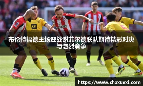 布伦特福德主场迎战谢菲尔德联队期待精彩对决与激烈竞争