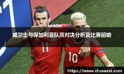 威尔士与保加利亚队员对决分析及比赛前瞻